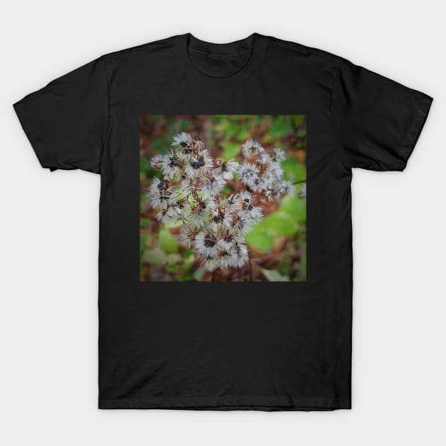 Flower Heart T-Shirt by Rebekah Slick